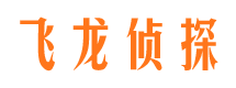 郏县市调查公司